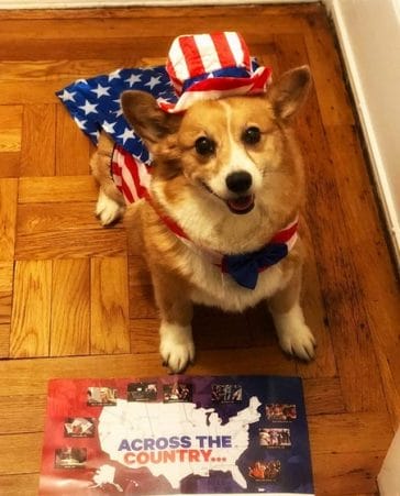 14 Halloween Costume Ideas for Corgis - PetPress