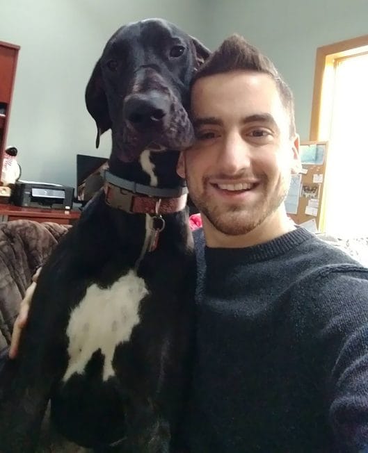 15 Pictures That Only Great Dane Lovers Will Understand - Page 2 of 3 ...