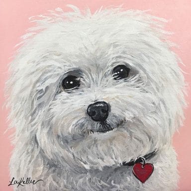 14 Colorful Bichon Frise Drawings - PetPress