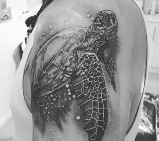 Top 60 Best Turtle Tattoo Designs - Petpress