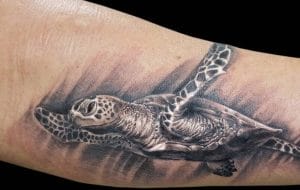 Top 60 Best Turtle Tattoo Designs - PetPress