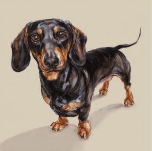 The 14 Nicest Dachshund Paintings - PetPress