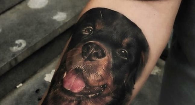 The 16 Cutest Rottweiler Tattoo Design Ideas - PetPress