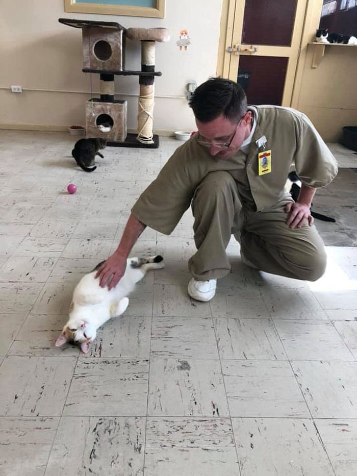 Prisoners and Cats in the United States Launched a New Program for the