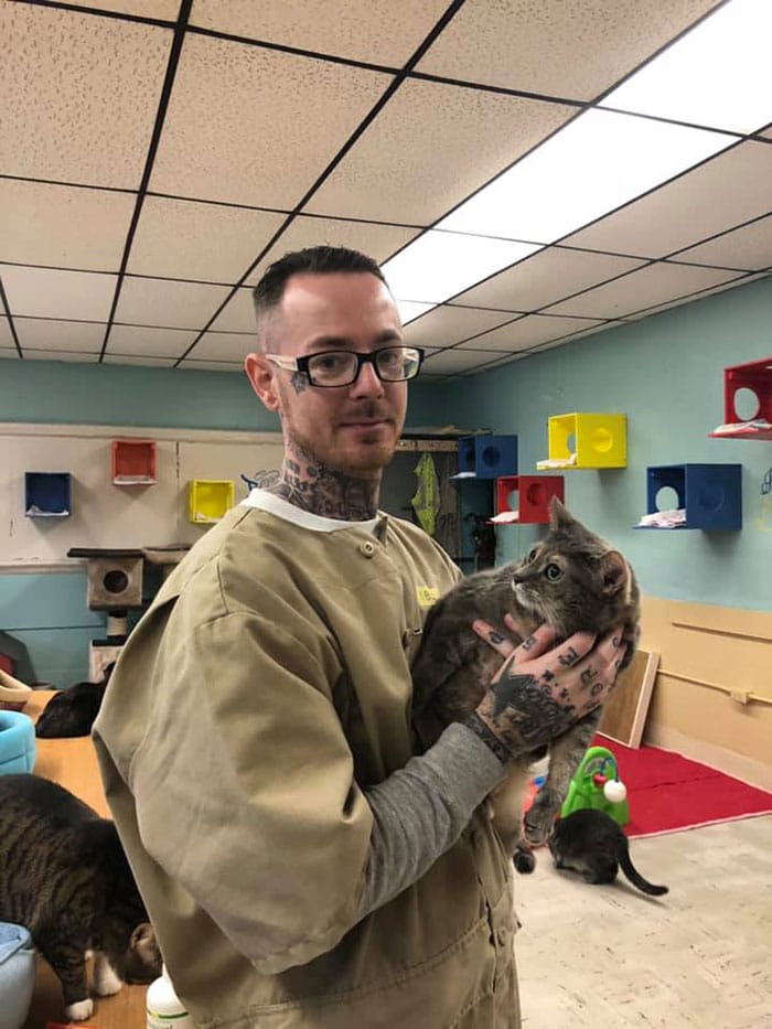 Prisoners and Cats in the United States Launched a New Program for the