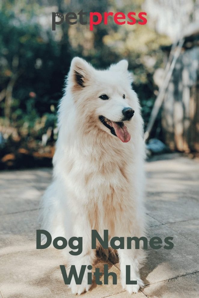 Dog Names with L