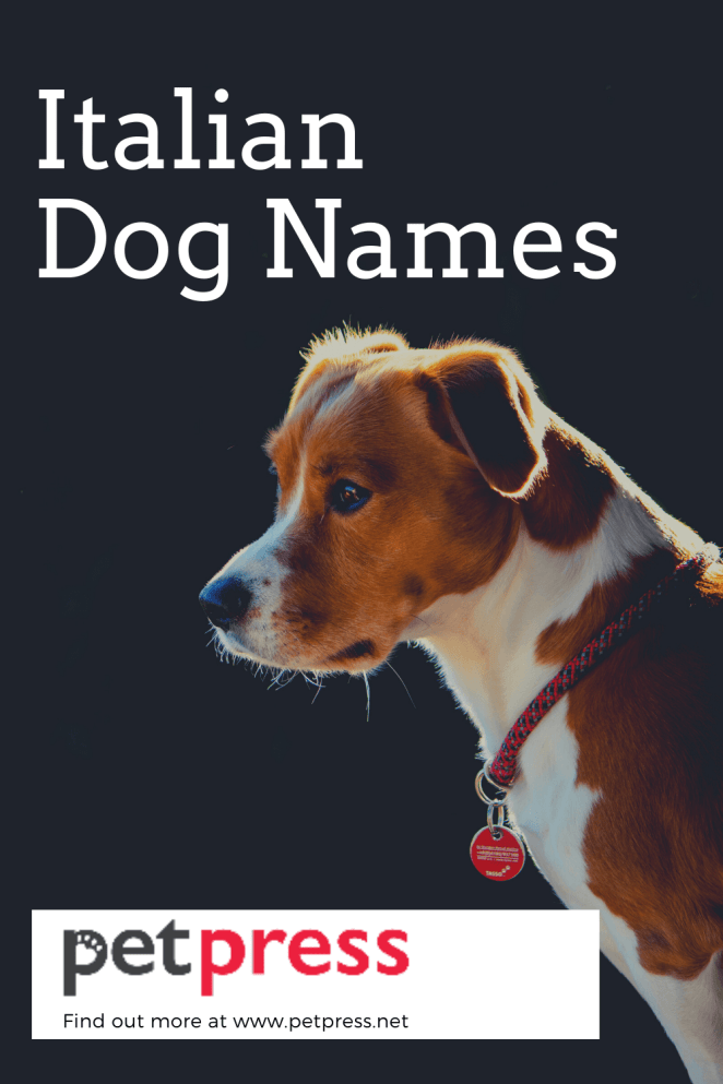Italian dog names