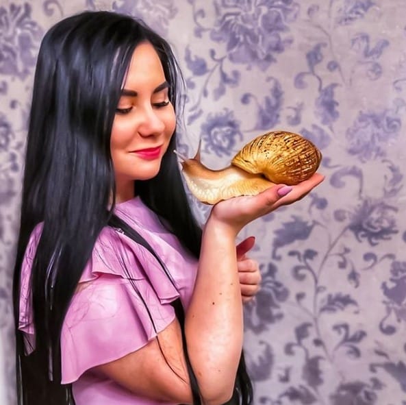 14 Rules For Keeping Snails At Home