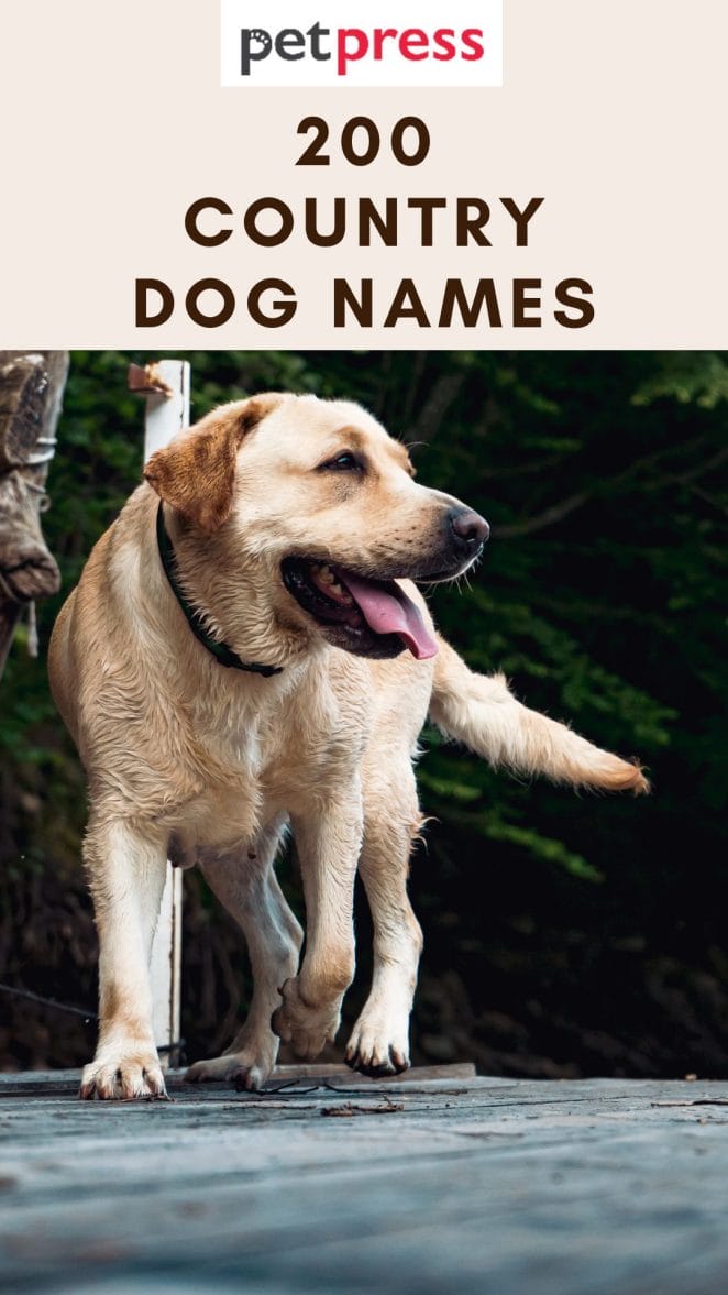 country-dog-names