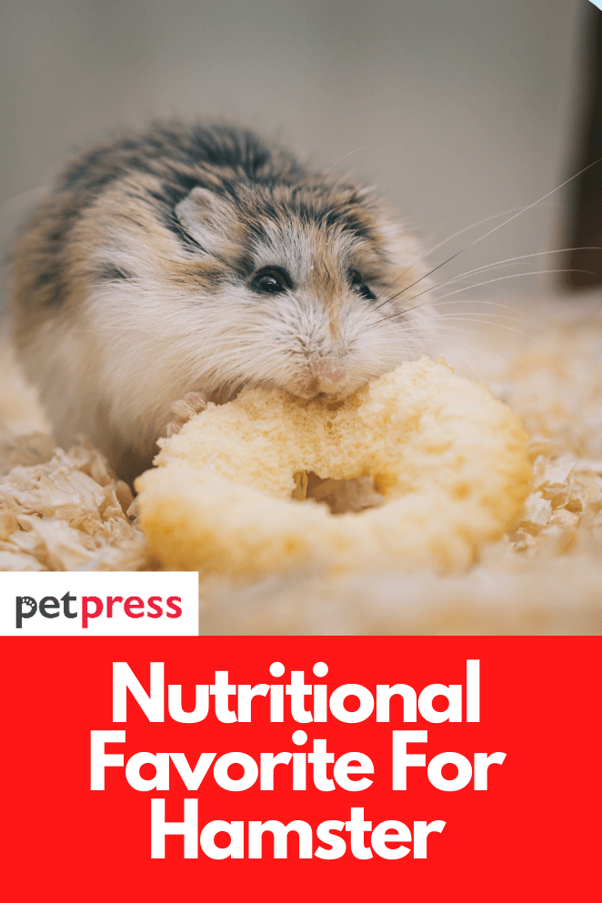nutritional-for-hamster