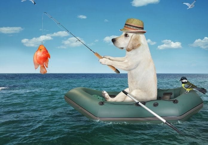 200+ Fishing Dog Names - Fish-Themed Names for Your Canine Companion