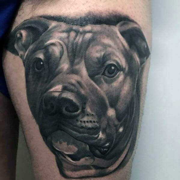 25 Pitbull Tattoo Ideas for Men and Women - PetPress