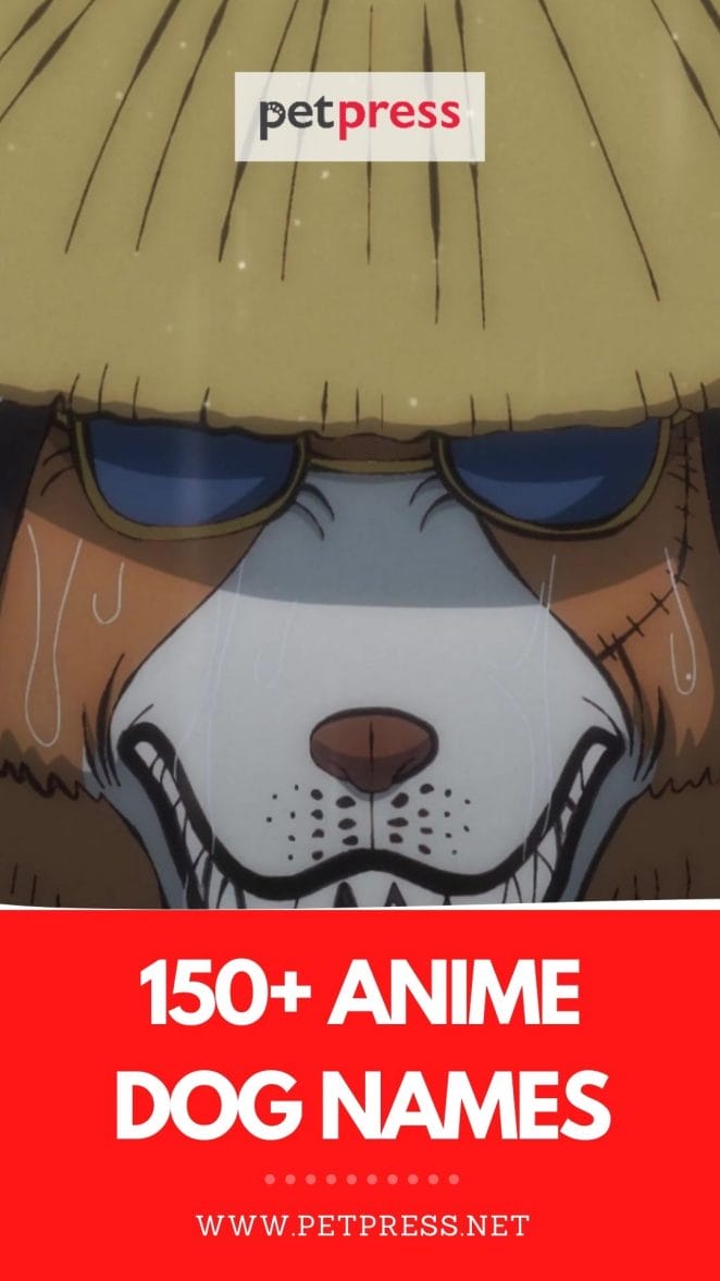 anime dog names