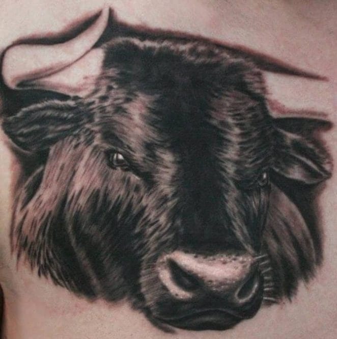 28 Bull Head Tattoo Ideas For Men & Women - PetPress