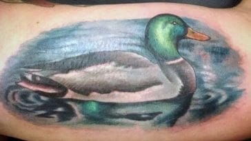 duck tattoo cool