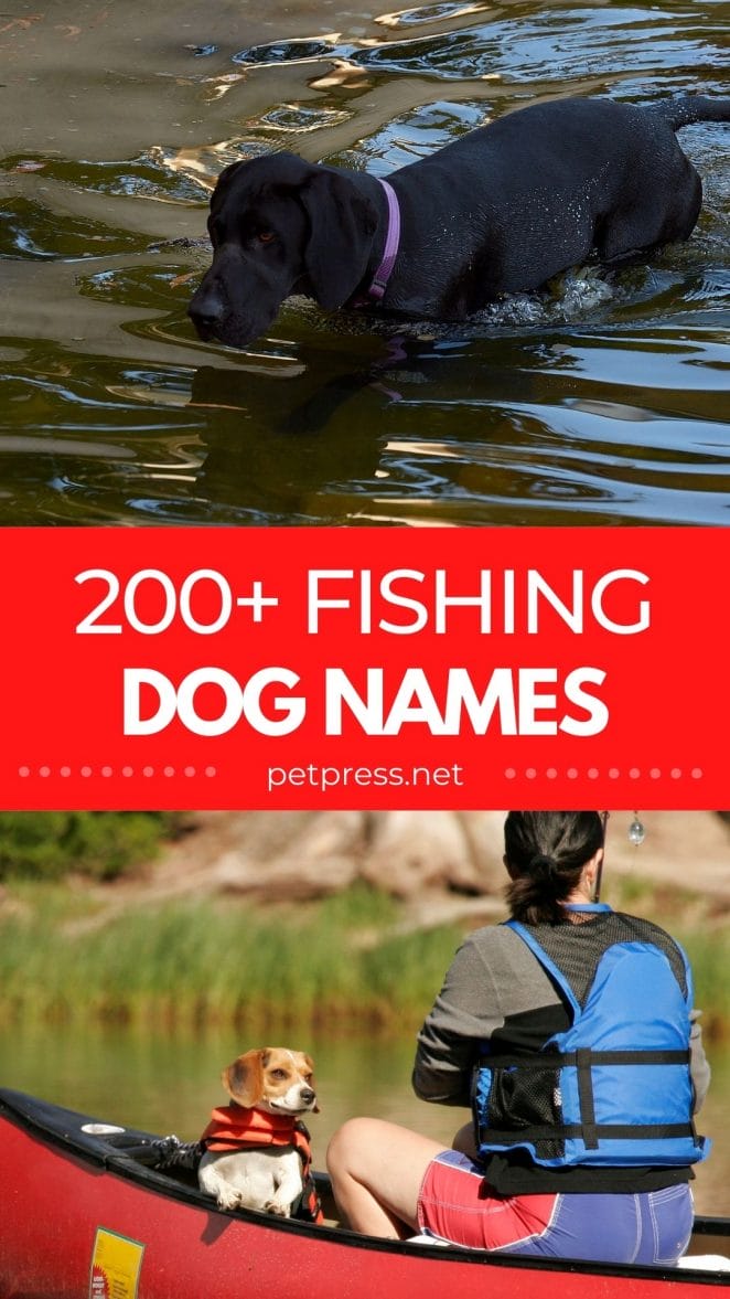fishing dog names