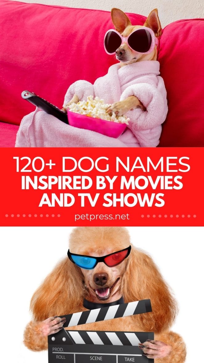 movie dog names