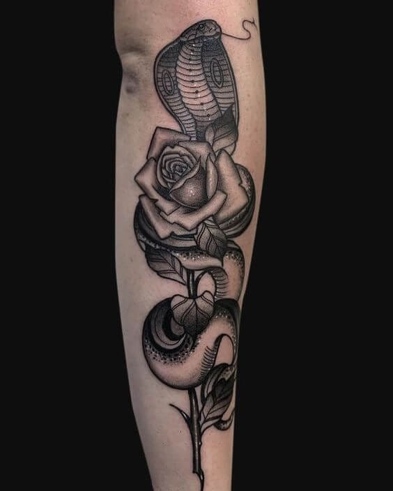 25+ Black and Grey Snake Tattoo Designs PetPress
