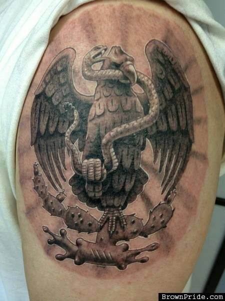 16 Realistic Eagle And Snake Tattoo Designs With Meanings - PetPress
