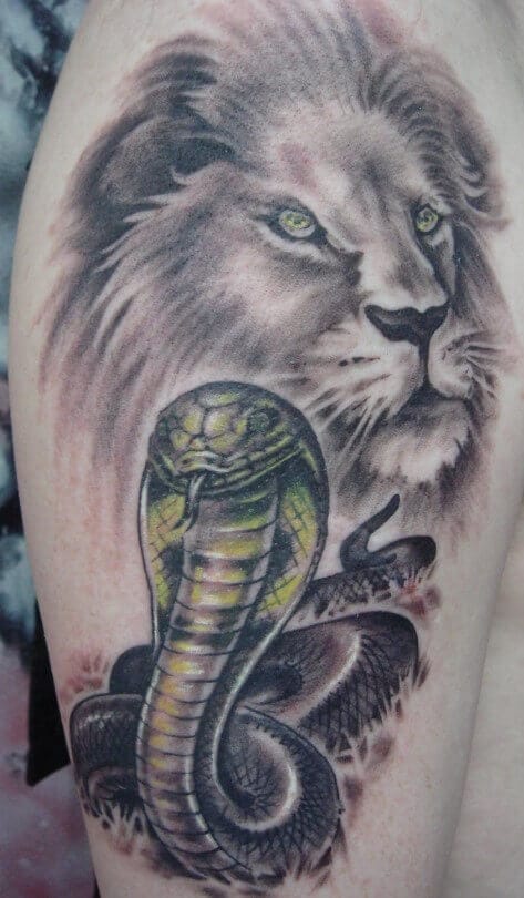 10+ Lion and Snake Tattoo Designs - PetPress
