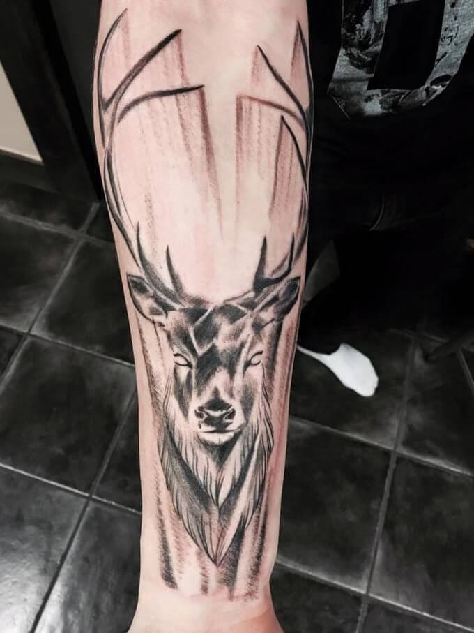 10+ Classic Red Deer Tattoo Designs - PetPress