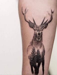 10+ Classic Red Deer Tattoo Designs - PetPress