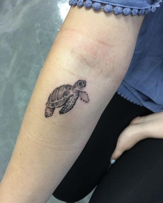 21+Small & Simple Turtle Tattoo Designs - PetPress