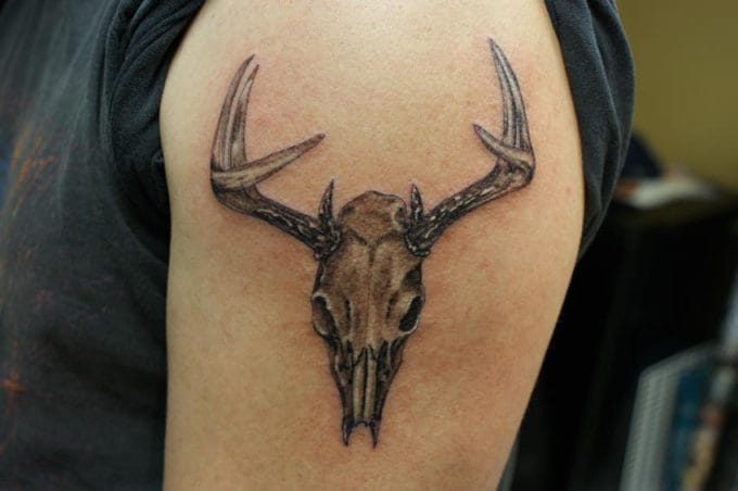 14 Stag Skull Tattoo Ideas and Designs - PetPress