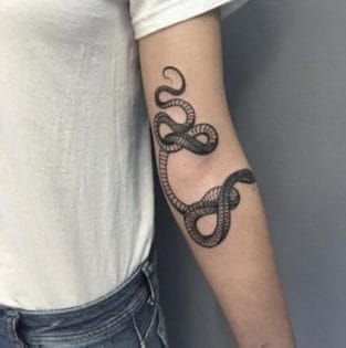 20+ Simple Snake Tattoo Ideas - PetPress