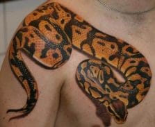 16 Best Python Tattoo Design Ideas - PetPress