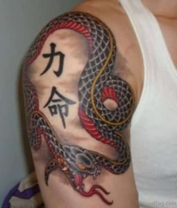 10+ Chinese Snake Tattoo Designs & Ideas PetPress