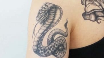 cobra snake tattoo
