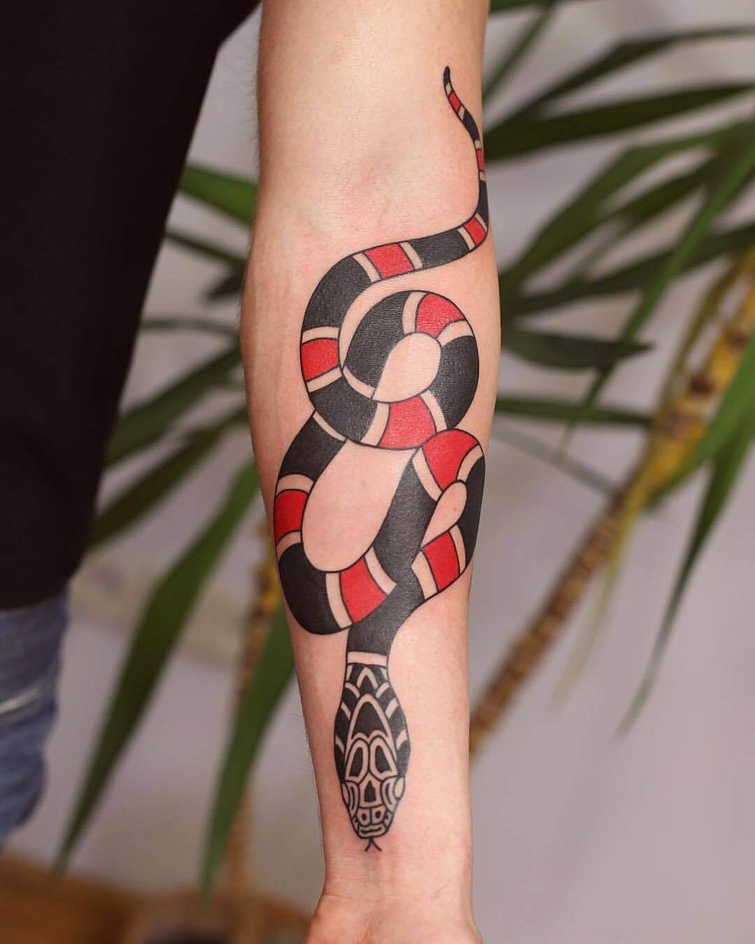 Top 14 Coral Snake Tattoo Ideas That Are Look So Cool For You