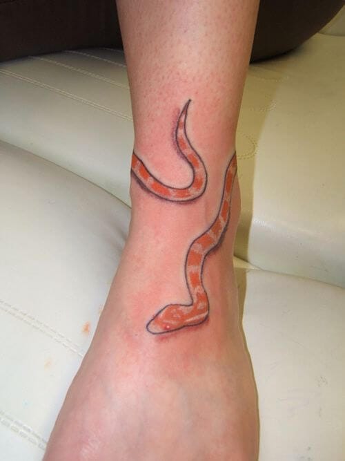 12+ Best Corn Snake Tattoo Designs - PetPress