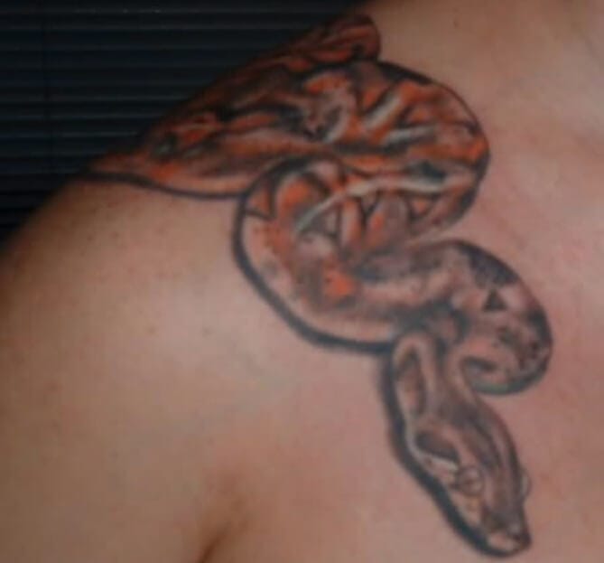 12+ Best Corn Snake Tattoo Designs - PetPress