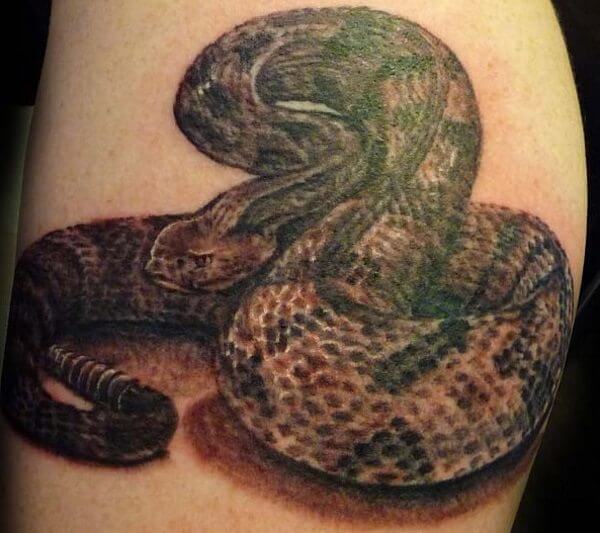 Traditional Snake Tattoos  Cloak and Dagger Tattoo London