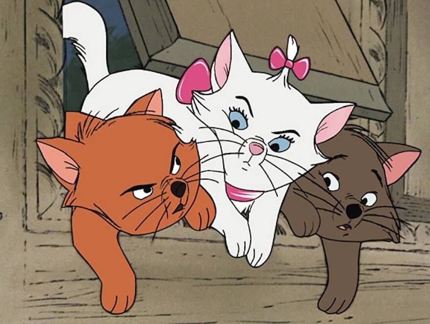 Disney Cat Names: 230+ Boy and Girl Disney Names for Cats