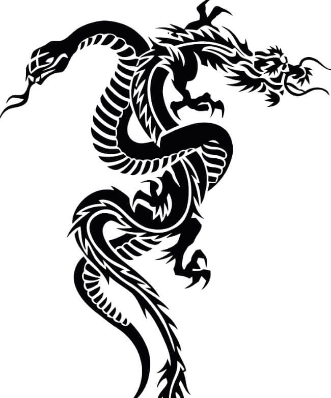 12 Dragon & Snake Tattoo Designs - PetPress