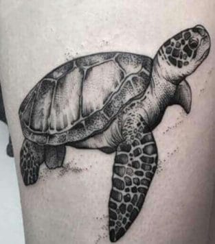 20+ Hawaiian Turtle Tattoo Designs & Ideas For Art Body Lovers - PetPress