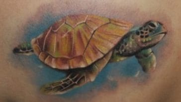 hawaiian turtle tattoo color