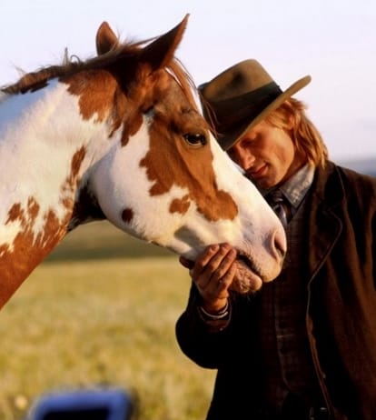 100 Popular Movie Inspired Horse Names