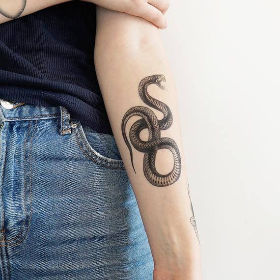 20 Serpent Tattoo Ideas For Men & Women - PetPress