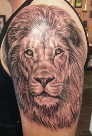 25 Realistic Lion Tattoo Designs For Shoulder That Will Inspire You