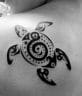 15 Maori Turtle Tattoo Designs, Ideas, & Meanings - PetPress