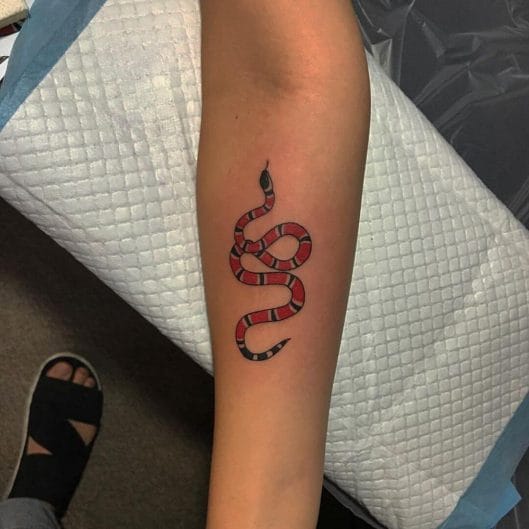 12 Milk Snake Tattoo Ideas That Are Perfect PetPress