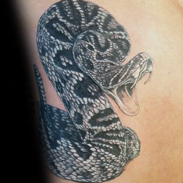 24 Realistic Snake Tattoo Designs - PetPress