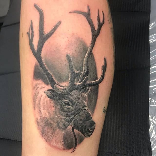 15+ Best Reindeer Tattoo Designs and Ideas PetPress