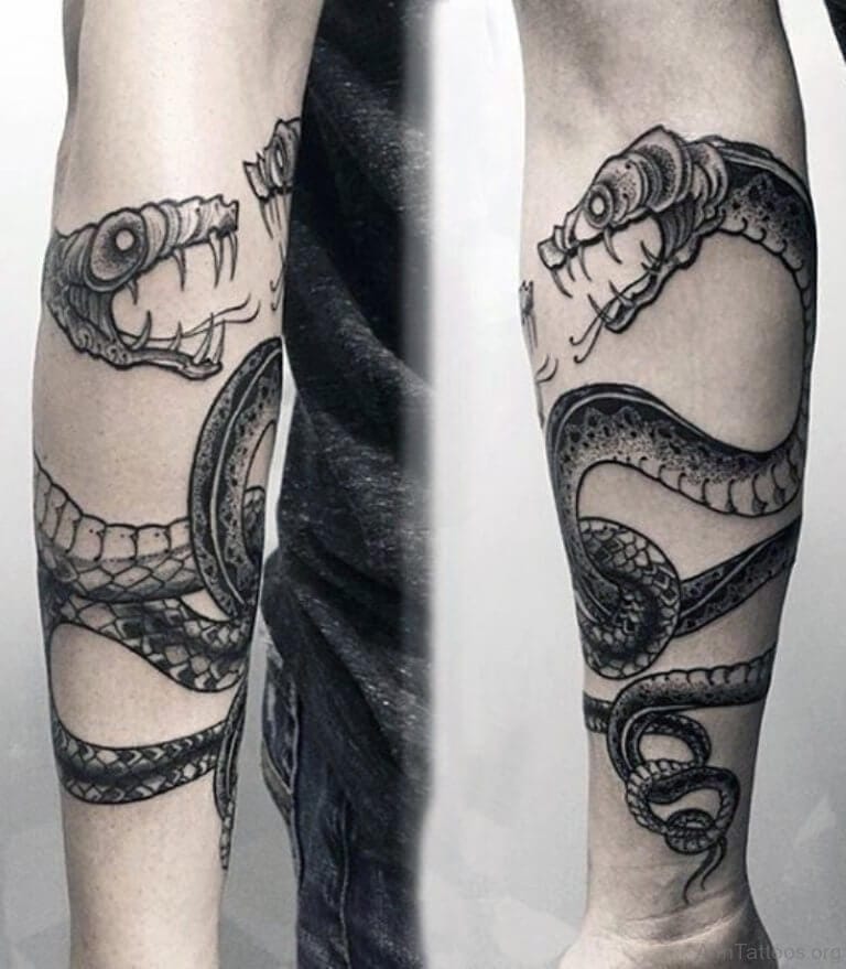 40+ Best Snake Arm Tattoo Design Ideas PetPress