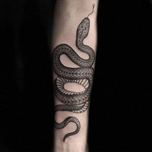 17 Snakes Wrapped Around Arm Tattoo Designs & Ideas - PetPress