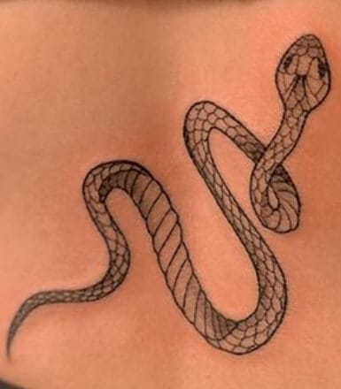 10+ Snake Spine Tattoo Designs - PetPress